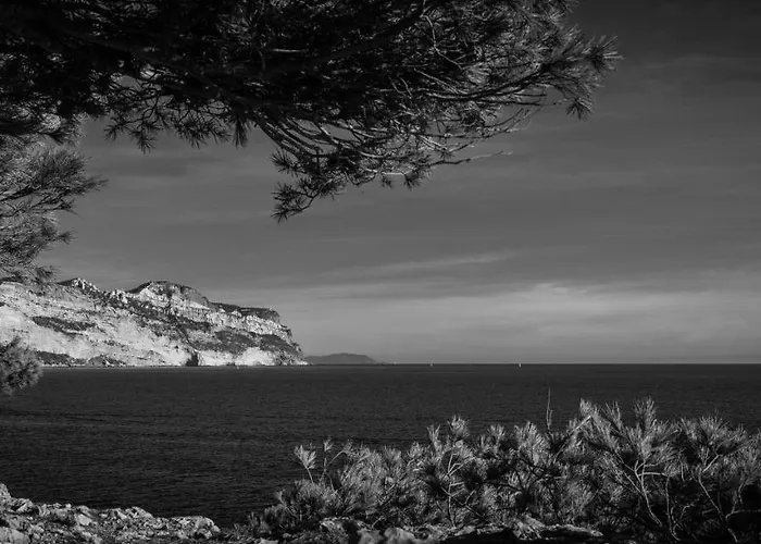 Les Mimosas bord de mer, des plages, du port et de toutes commodités