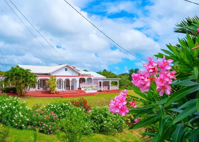Sunny Palm Villas