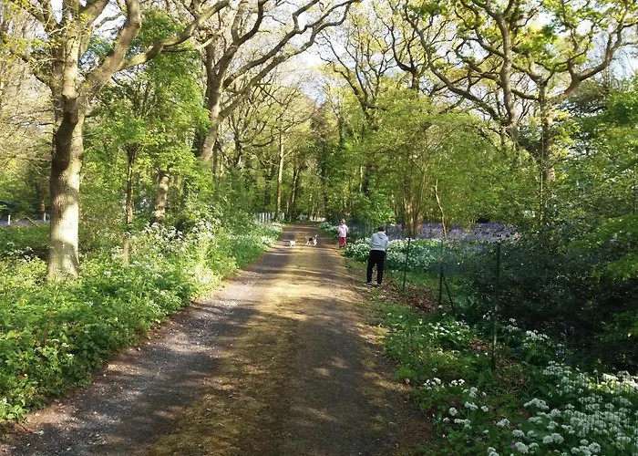 La Parenthese Bois de Cise