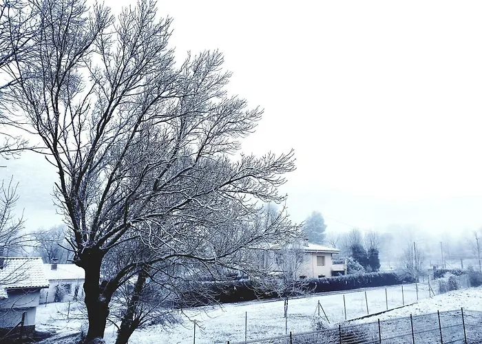 Apartamentos El Parral