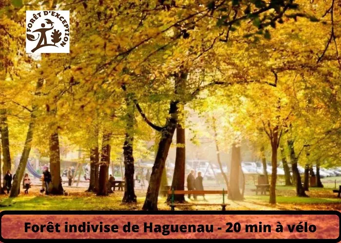 Duplex - Le Cosy - Hyper Centre