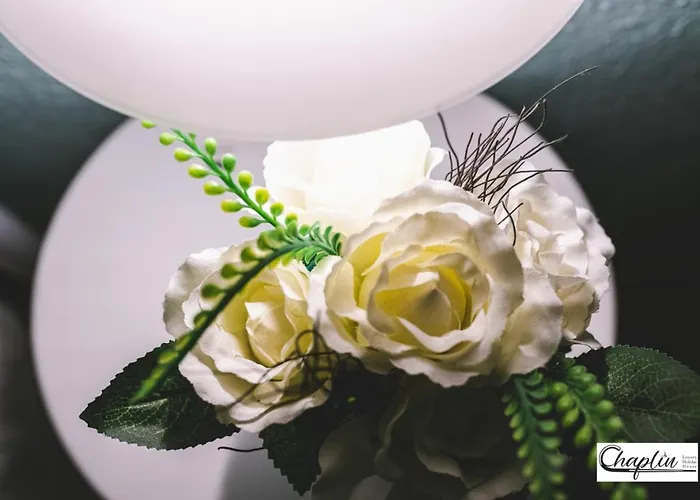 Chaplin Luxury Holiday House