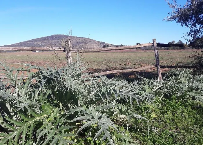 Agriturismo Monte Alzato