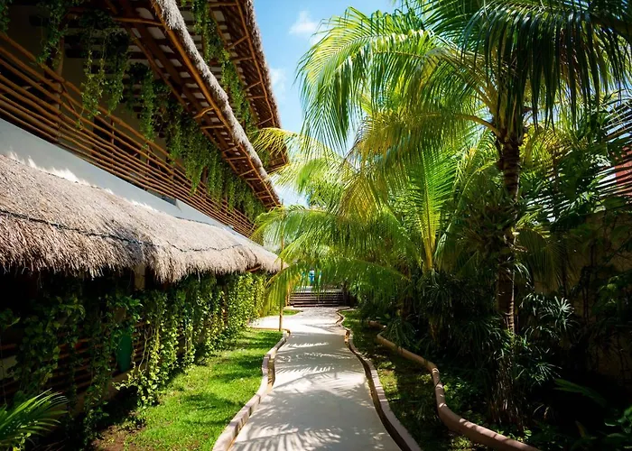 Hotel Moon Dreams Holbox