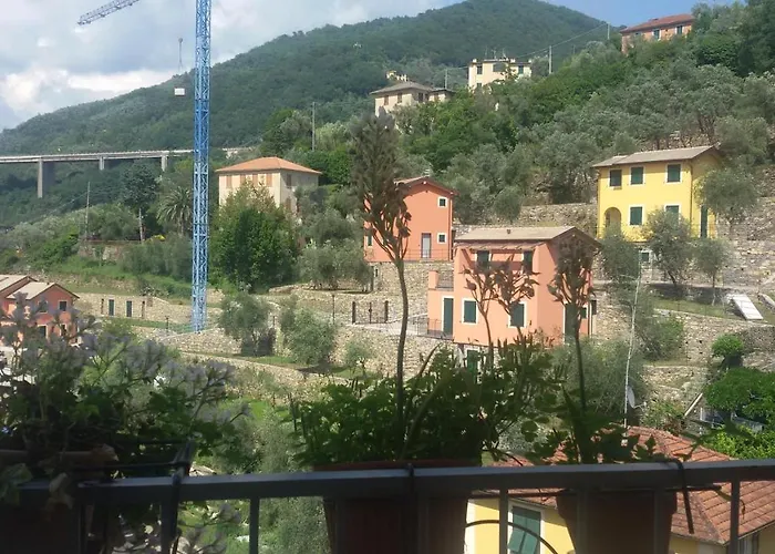 Il Papavero