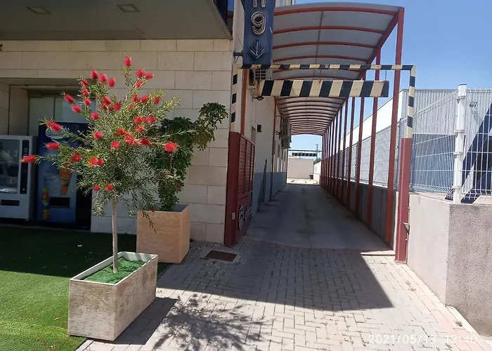 Hotel que admite mascotas: Olimpia Hoteles