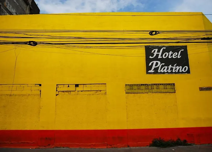  Platino