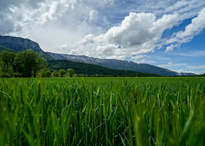 Les Aravis - Appartement pour 6 personnes à 5min du Lac