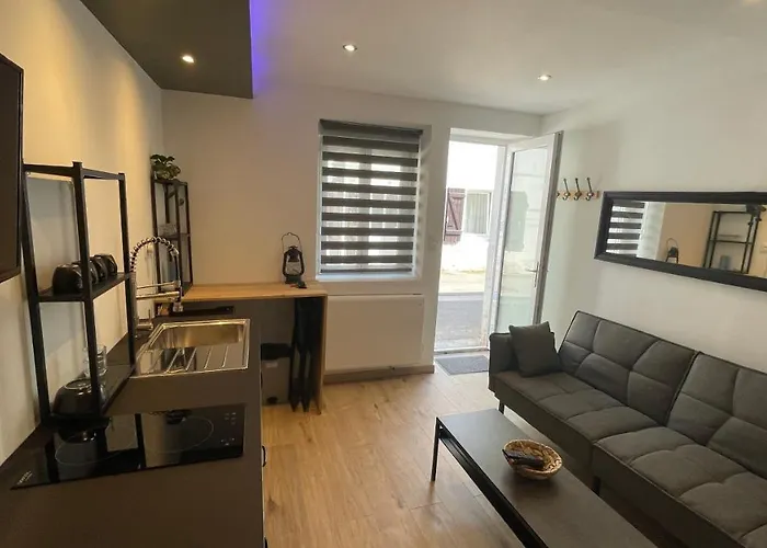 Bienvenue chez vous appartement classé 2 étoiles en RDC avec espace extérieur et parking