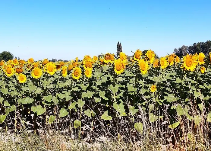 L'Instant Provence