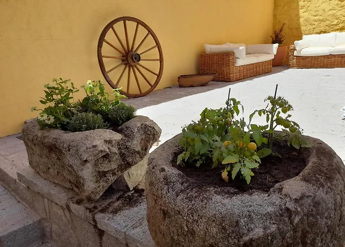 Hotel que admite mascotas: Casa Rural del Tío Maino