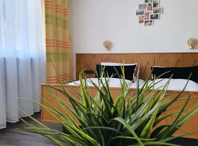 Ping Pong Hotel: Kurhotel Anders