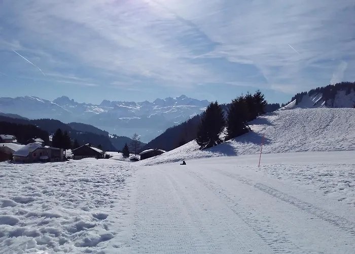 Les Terrasses du Mont blanc