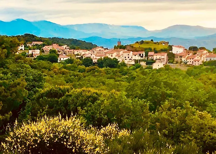 Le Mas des Alberes Piscine privative proche mer et Collioure, climatisation, parking ,WiFi