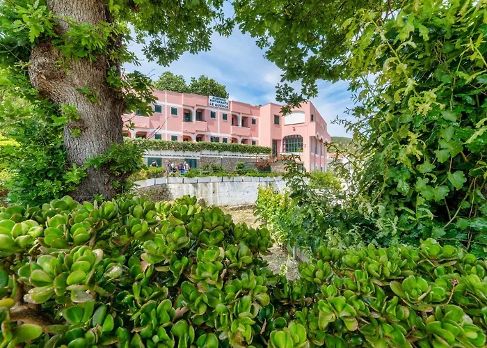 Albergo economico: Albergo Le Querce