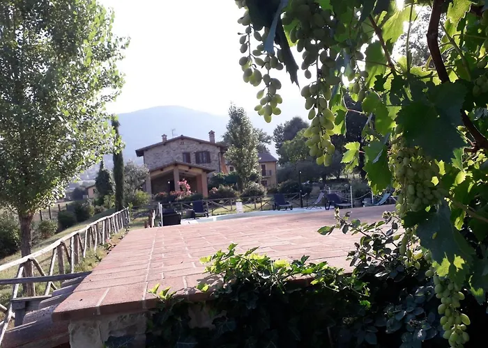 Sulla Strada Di San Francesco