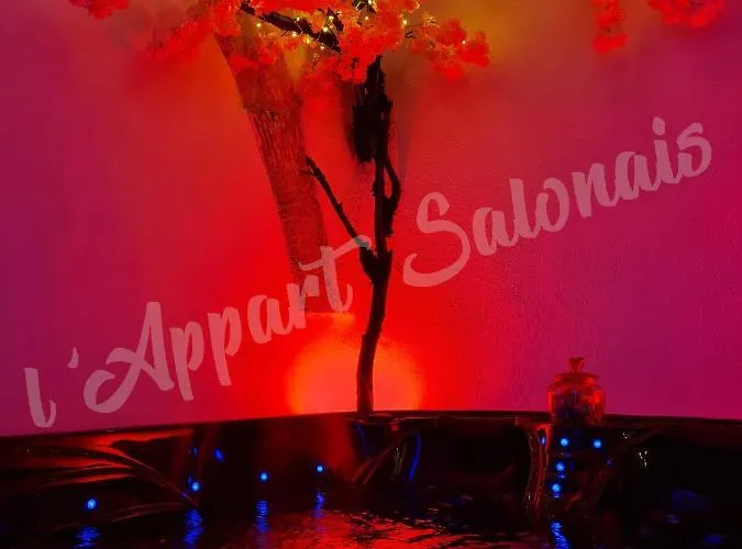 Lappart-salonais Love Room 70m2 Spa Privé