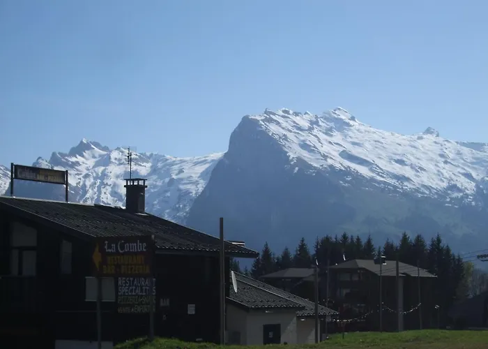 Chalet montagne 11 p Grand Massif 100 m télécabine