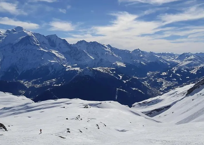 Chalet montagne 11 p Grand Massif 100 m télécabine