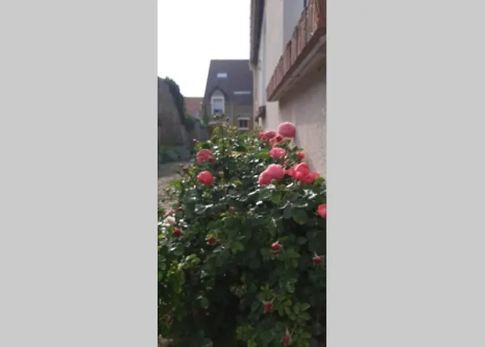 La Cour Pavée