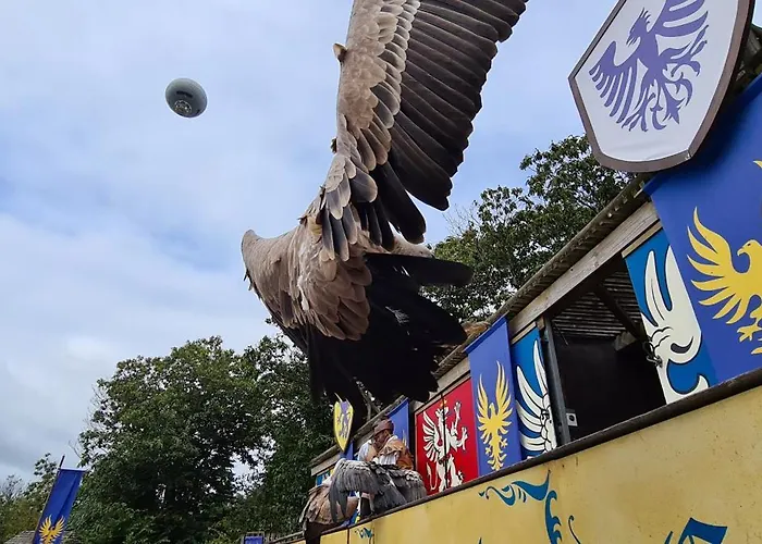 Jolie Studio Le Pavachon à 3 min du Puy du Fou Les Epesses
