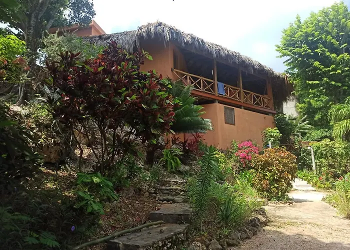 La Casa Del Arbol