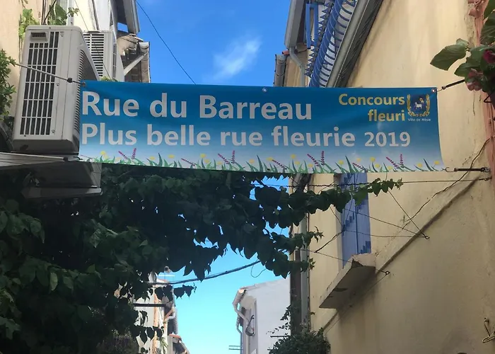 chez le tit