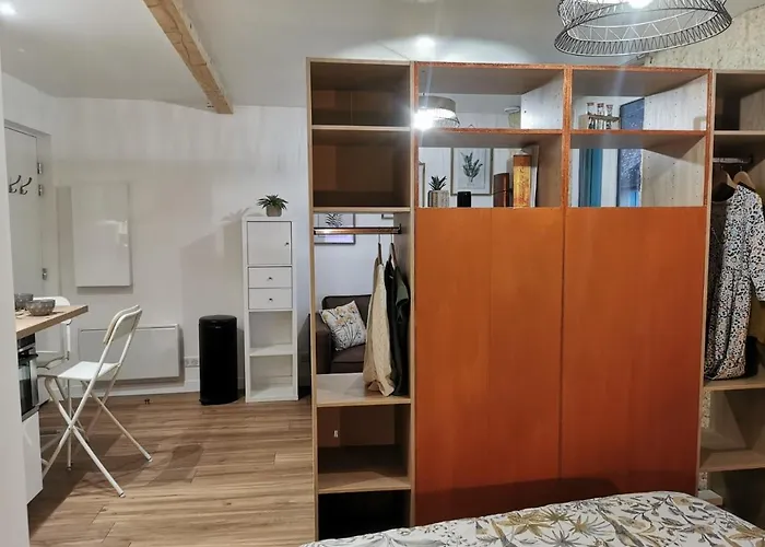 Les appartements du centre, refaits à neuf, climatiseur mobile, hyper centre, 50m à pieds des commerces, restaurants, parking gratuit