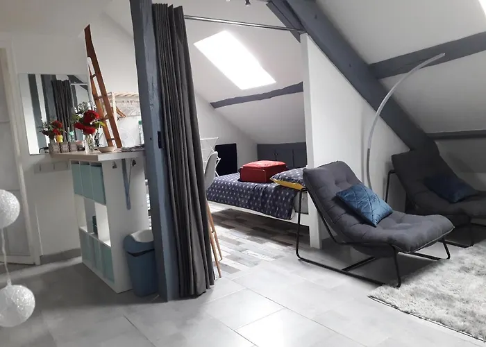 Le Mini Loft Montargis centre 1 à 3 personnes climatisation parking linge wifi freebox Netflix