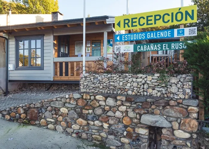 Apartamento: Estudios Galende