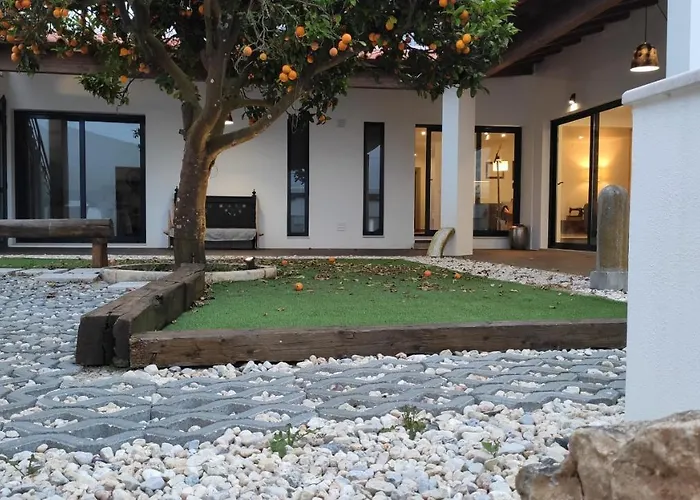 Laranjeira Das Loiras