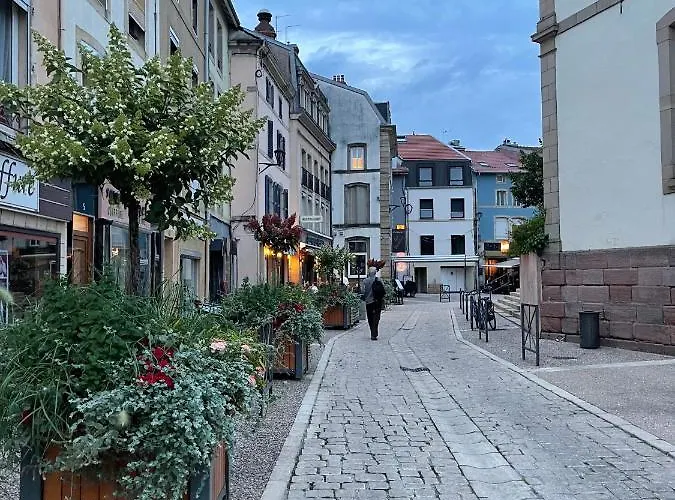 Épinal : superbe appartement en plein centre ville