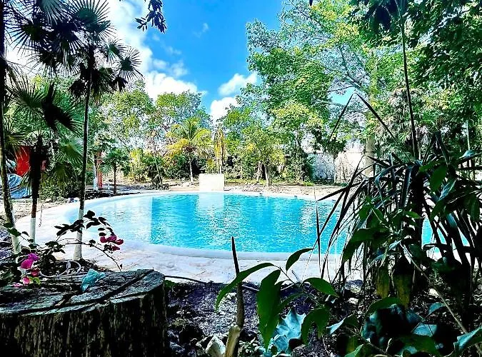 Hotel familiar: Hotel Tequila Cancun