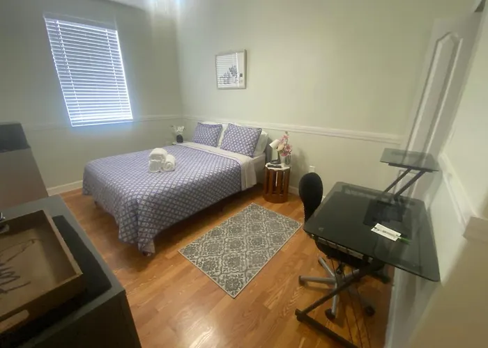 Casa Miami 3