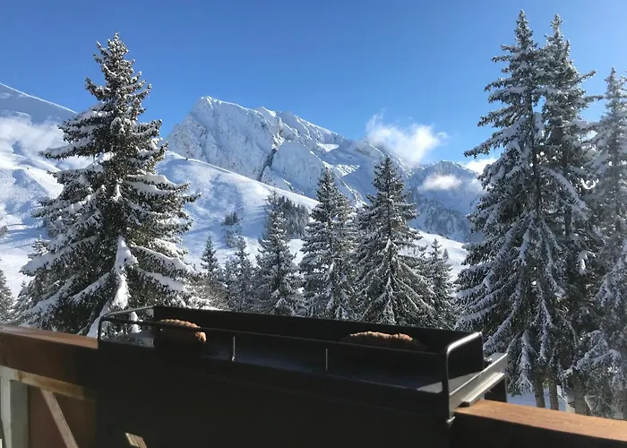 Appartement T2 col de Merdassier au pied des pistes