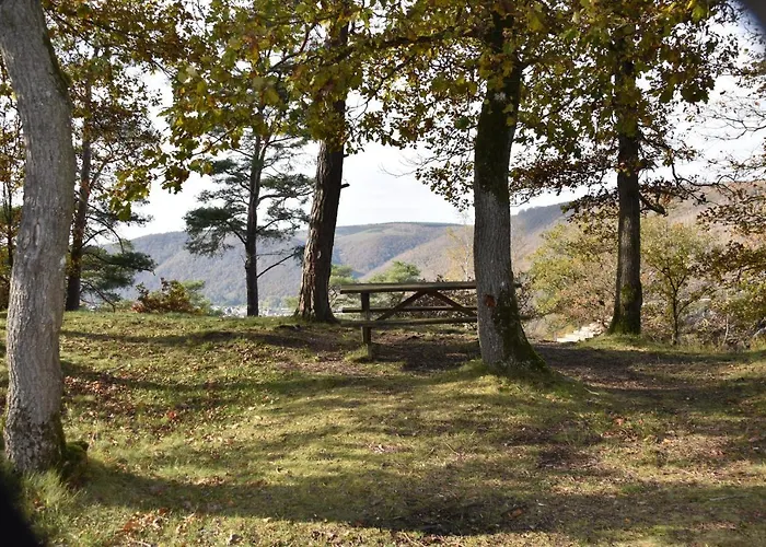 Le Gîte au bord de la Forêt