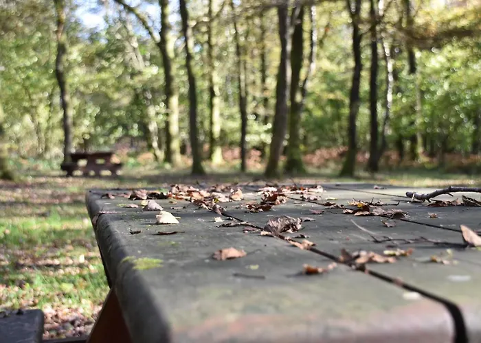 Le Gîte au bord de la Forêt
