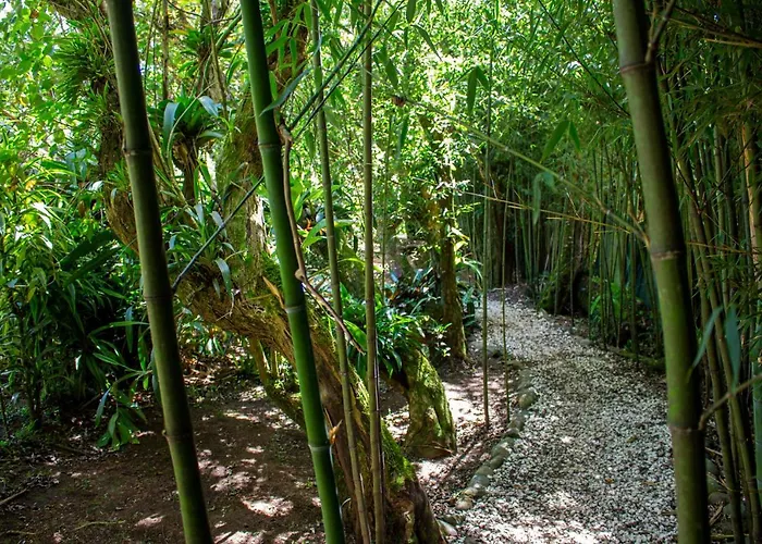 Hotel Holistico Monteverde