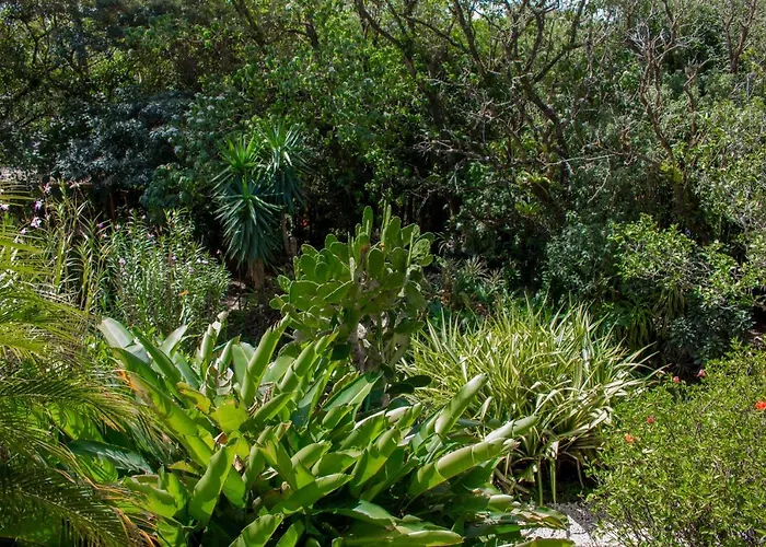 Hotel Holistico Monteverde