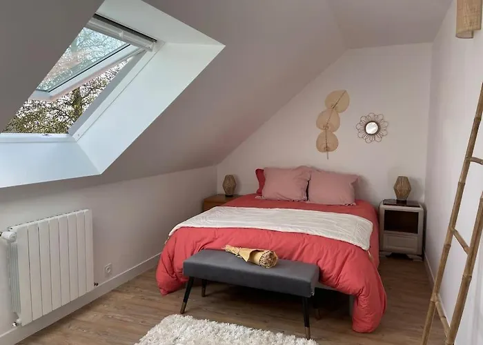 Appartement cosy sous les toits