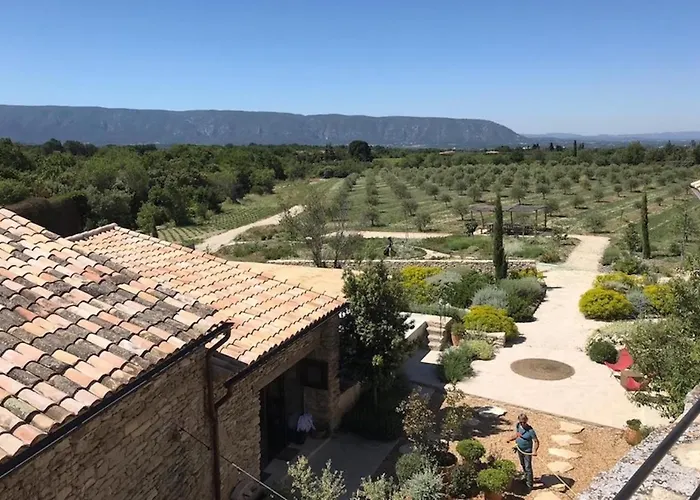 Ferme Oleicole Les Callis