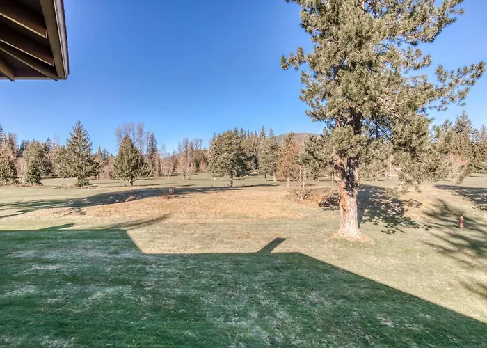 Golfer'S Daydream