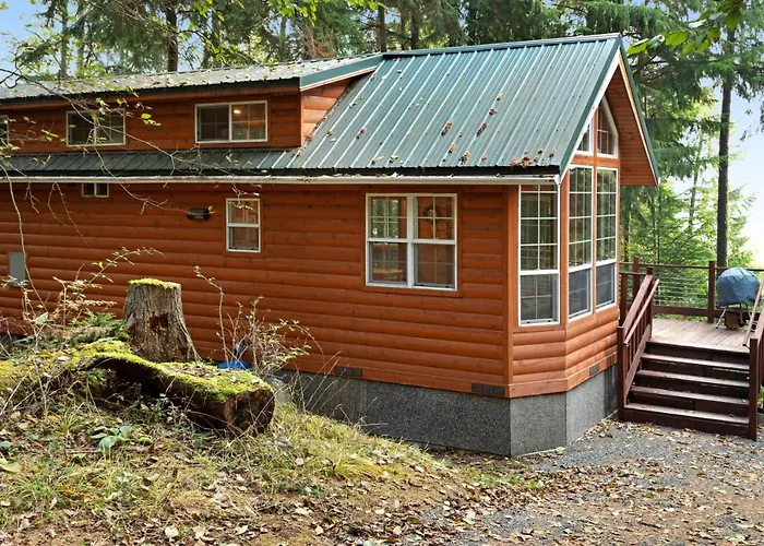 Racoon Retreat