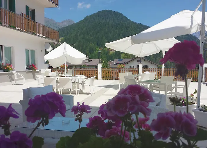 Albergo economico: Hotel Pineta