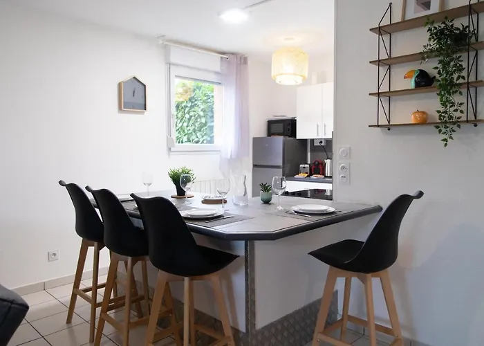 Hometimal Blagnac - T2 - Free Parking - Terrasse - Jardin