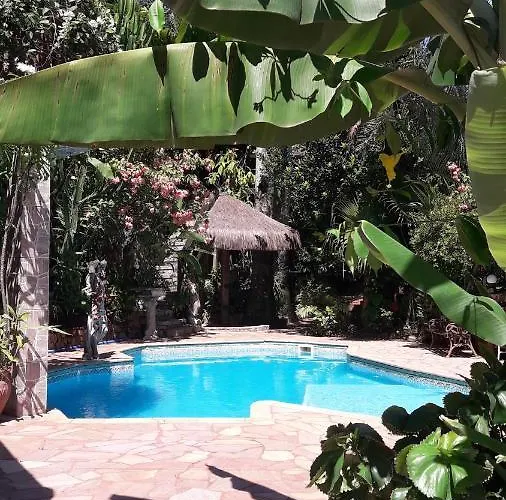 Hotel que aceita animais de estimação: Candy Ilhabela 1