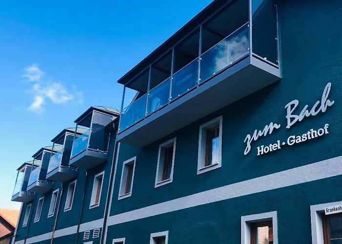 Hotel mit Hund -Gasthof Zum Bach