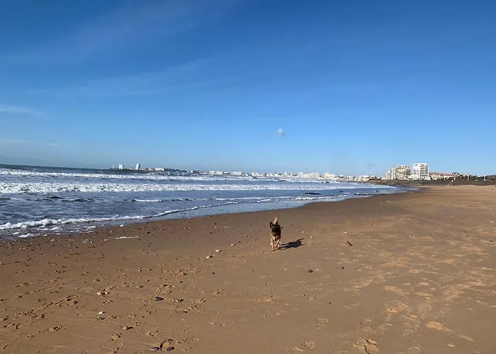 Appartement vue sur mer