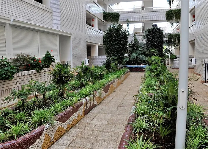 APCOSTAS Marina D'or 2da Línea