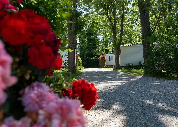 Hôtel accueillant les animaux: Camping Sol Y Mar